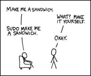 The power of sudo